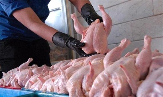 مرغ از سفره کردستانی‌ها پر کشید/ ادامه نوسان قیمت در بازار