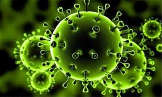 اینفوگرافیک/ آخرین وضعیت استان‌های درگیر با ویروس کرونا