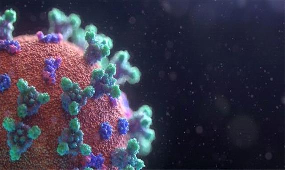 کشف "نانوبادی‌های" جدیدی که کروناویروس را در حالت غیرفعال قفل می‌کنند