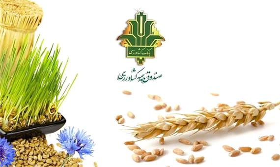142 هزار هکتار از اراضی کشاورزی کردستان زیر پوشش بیمه قرار دارد