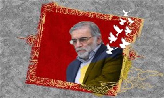 پیام ایران به شورای امنیت درباره ترور شهید فخری‌ زاده
