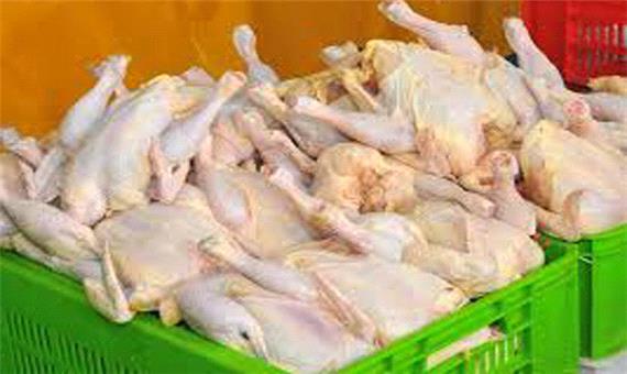 تولید 4 درصد گوشت مرغ کشور در کردستان