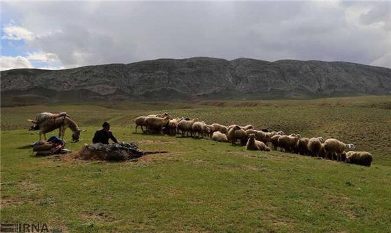 43هزار هکتار از مراتع کردستان احاله مدیریت شد