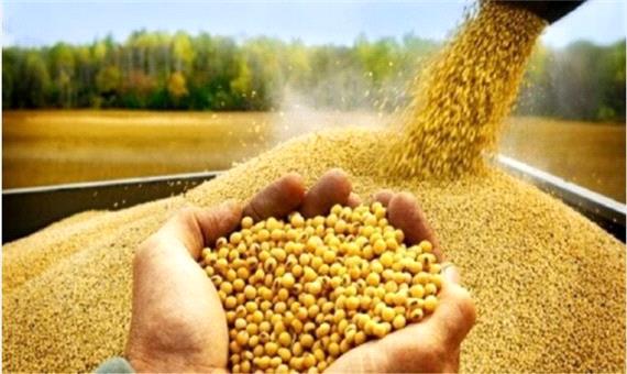توزیع بیش از 90 هزار تن نهاده دامی و کشاورزی در کرمانشاه