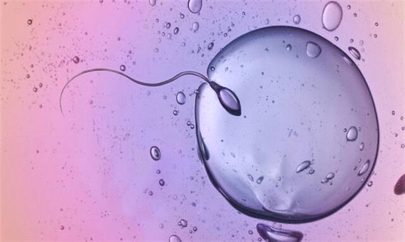 تاثیر مواد شیمیایی موجود در محیط بر تعداد اسپرم‌ها