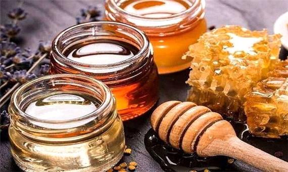 افزایش 5 درصدی تولید عسل در کردستان