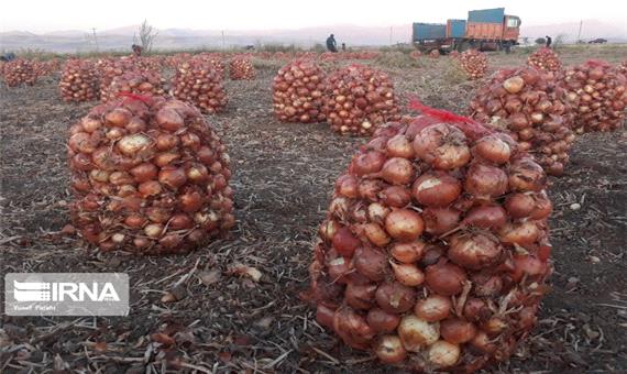 توزیع پیاز مازاد برنیاز کشاورزان استان‌های جنوبی در کرمانشاه آغاز شد