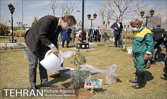 سفرای 50 کشور در تهران درخت صلح و دوستی کاشتند