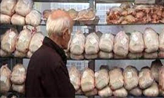مرغ باز هم در کرمانشاه «صفی» شد/ مسئولان: به اندازه نیاز مرغ بخرید، نگران آینده نباشید