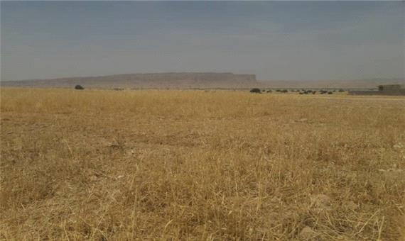 خشکسالی بیش از 40 درصد به تولید گندم کرمانشاه آسیب زده ‌است