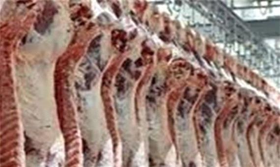 ترویج عرضه غیرمجاز دام به دنبال افزایش قیمت گوشت در کرمانشاه/ دستگاه‌ها در برخورد با عرضه گوشت خیابانی هماهنگ نیستند