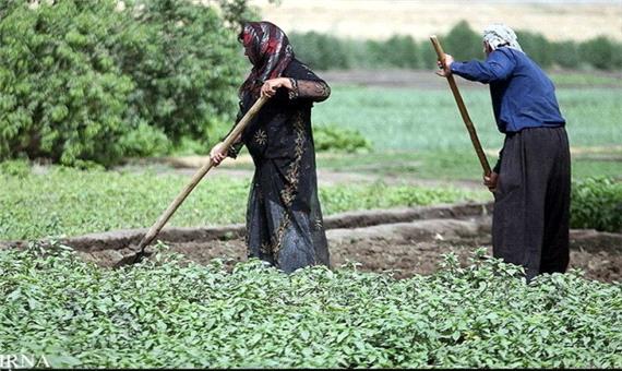 بیش از 280 هزار نفر عضو تشکل‌های تعاونی روستایی کرمانشاه هستند