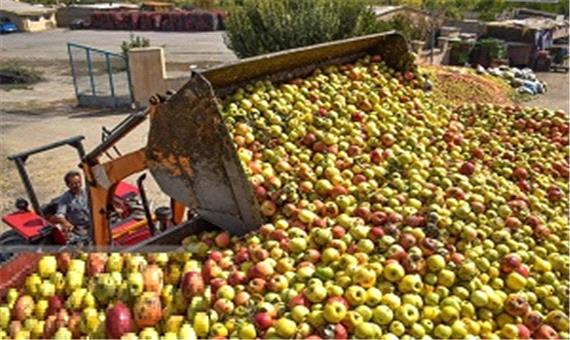 300 کانتینر میوه در مرز آذربایجان در بهمن فاسد شد