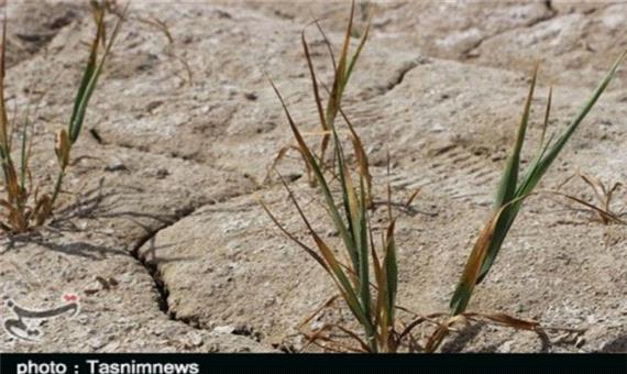 خشکسالی و خطر ایجاد فروچاله در دشت‌های استان کرمانشاه/ راهی جز مصرف بهینه آب نداریم
