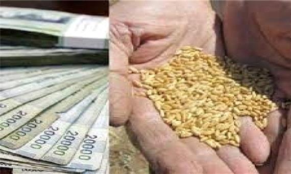 خرید 372 هزار تن گندم در کرمانشاه/ پرداخت کامل مطالبات گندمکاران