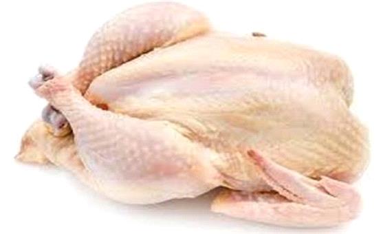 بالا پایین شدن تولید و عرضه مرغ در بلاتکلیفی