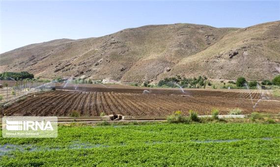سامانه گرمسیری غرب، کرمانشاه را به قطب کشاورزی منطقه تبدیل می کند