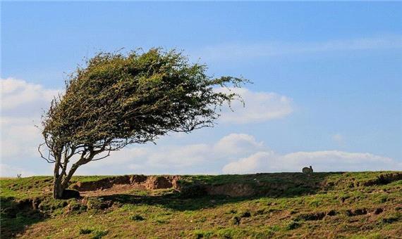 باد شدید کردستان را فرا می‌گیرد
