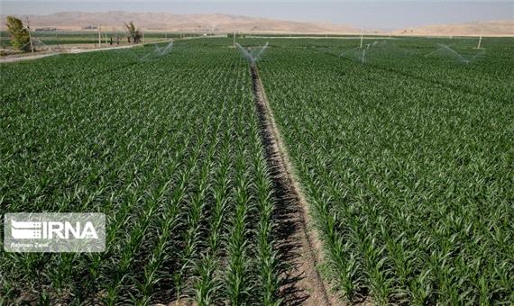 سیستم آبیاری تحت فشار در63 هکتار از زمین‌های کشاورزی روانسر اجرا شد