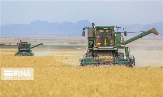 خرید توافقی محصولات کشاورزی در کردستان از مرز 9 هزار تن گذشت