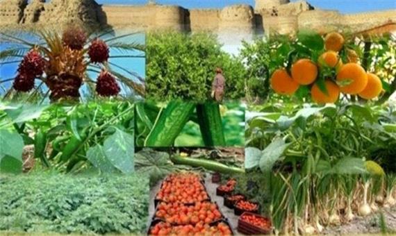 طرح «پایانه صادراتی محصولات کشاورزی» در کردستان اجرا می‌شود