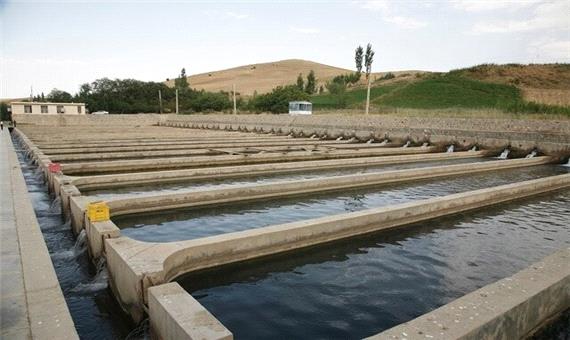 تولید 3870 تُن ماهی در کردستان طی سال جاری