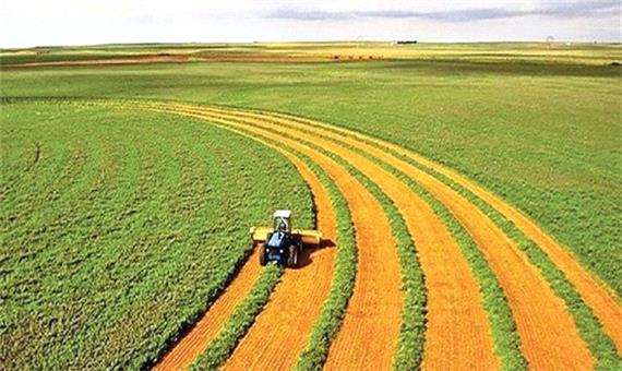 کشاورزی قراردادی نابسامانی‌های بخش کشاورزی را از بین می برد