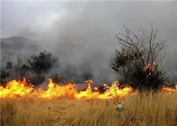 آتشسوزی سروآباد 200 هکتار از اراضی منابع طبیعی را دچار حریق کرد