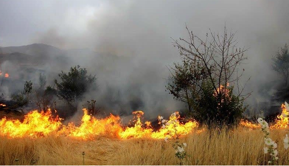 آتش‌سوزی ارتفاعات سرپل‌ذهاب مهار شد