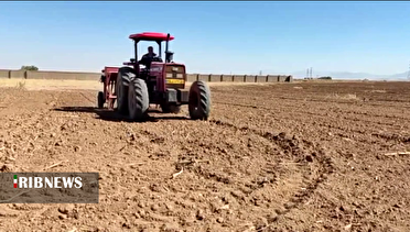 افزایش بهره وری با کشت ارقام جدید گندم در دهگلان