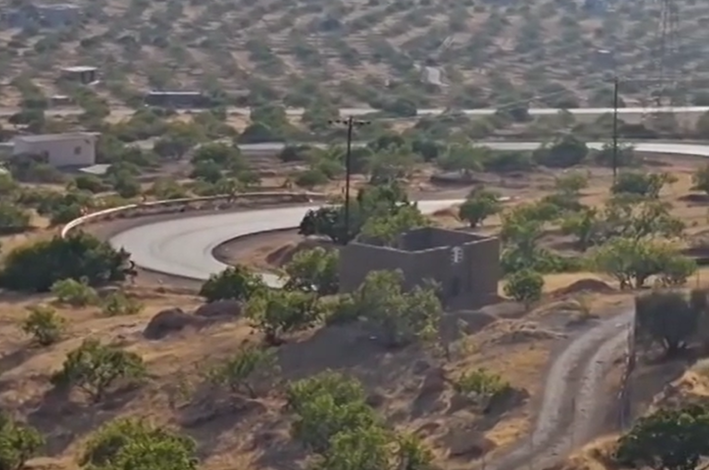 تصاویر بزرگترین انجیرستان جهان در ایران