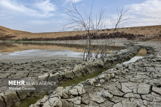 خشکسالی و تغییرات اقلیمی؛ تهدیدات جدی برای کشاورزی و زیست‌بوم کردستان