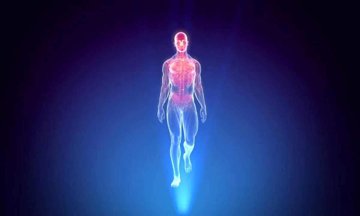 عجایبی باورنکردنی از بدن انسان