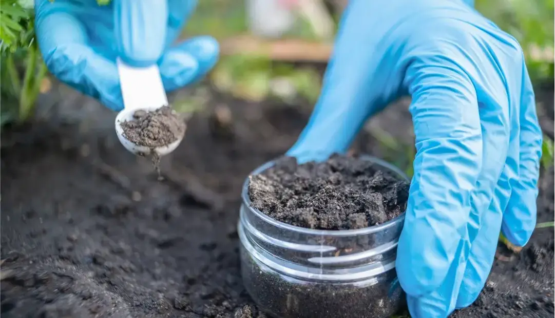 معجزه‌ای از خاک؛ کشف آنتی‌بیوتیکی قدرتمند که مقاوم‌ترین باکتری‌ها را نابود می‌کند