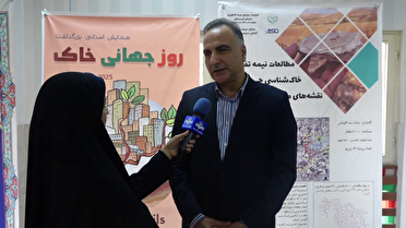 طرح پایداری تولید در دیمزار‌های کشور اجرایی می شود