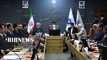 افزایش سهمیه واردات مرزنشینان کردستان