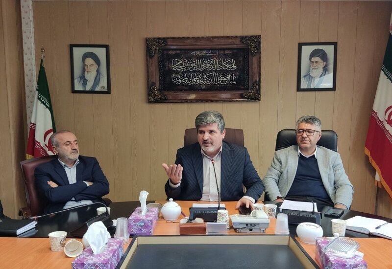 معاون استاندار کردستان بر لزوم جمع‌آوری و ساماندهی سگ‌های ولگرد تاکید کرد