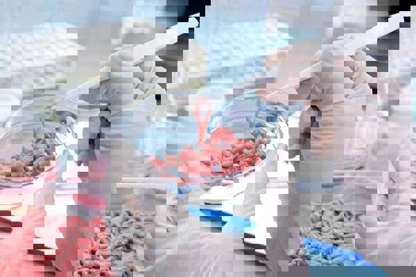 کشف و امحای مقادیر قابل توجه آلایش دامی تاریخ‌گذشته در سنقر و کلیایی