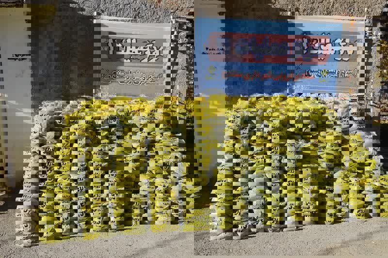 اصغری: ۲۳ ایستگاه برف‌روبی برای عبور ایمن از زمستان در سنندج فعال شد