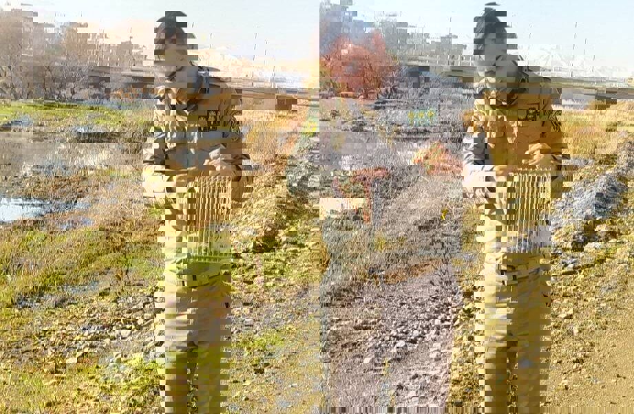 رهاسازی سه قطعه سهره مکشوفه در زیستگاه طبیعی سقز