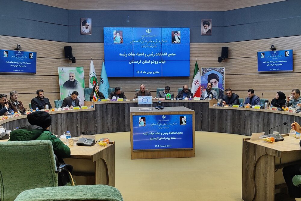 استفاده از ظرفیت‌ها، تقویت همدلی و بهره‌گیری از توان فنی شرط پیشرفت ووشوی کردستان