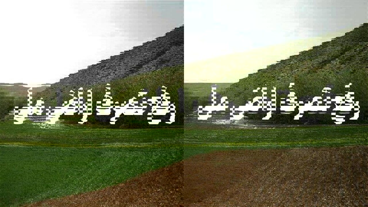 رفع تصرف ۶ هزار مترمربع از اراضی ملی پیرامون روستای میشیاب دیواندره