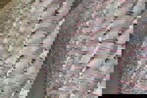 ۵۰ کیسه کود شیمیایی فاقد مجوز در صحنه کشف شد