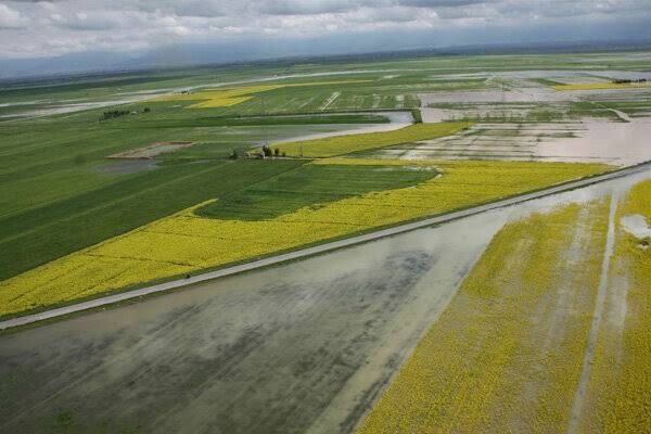 پرداخت حدود ۵۰۰ میلیارد تومان غرامت به کشاورزان خسارت‌دیده کردستانی