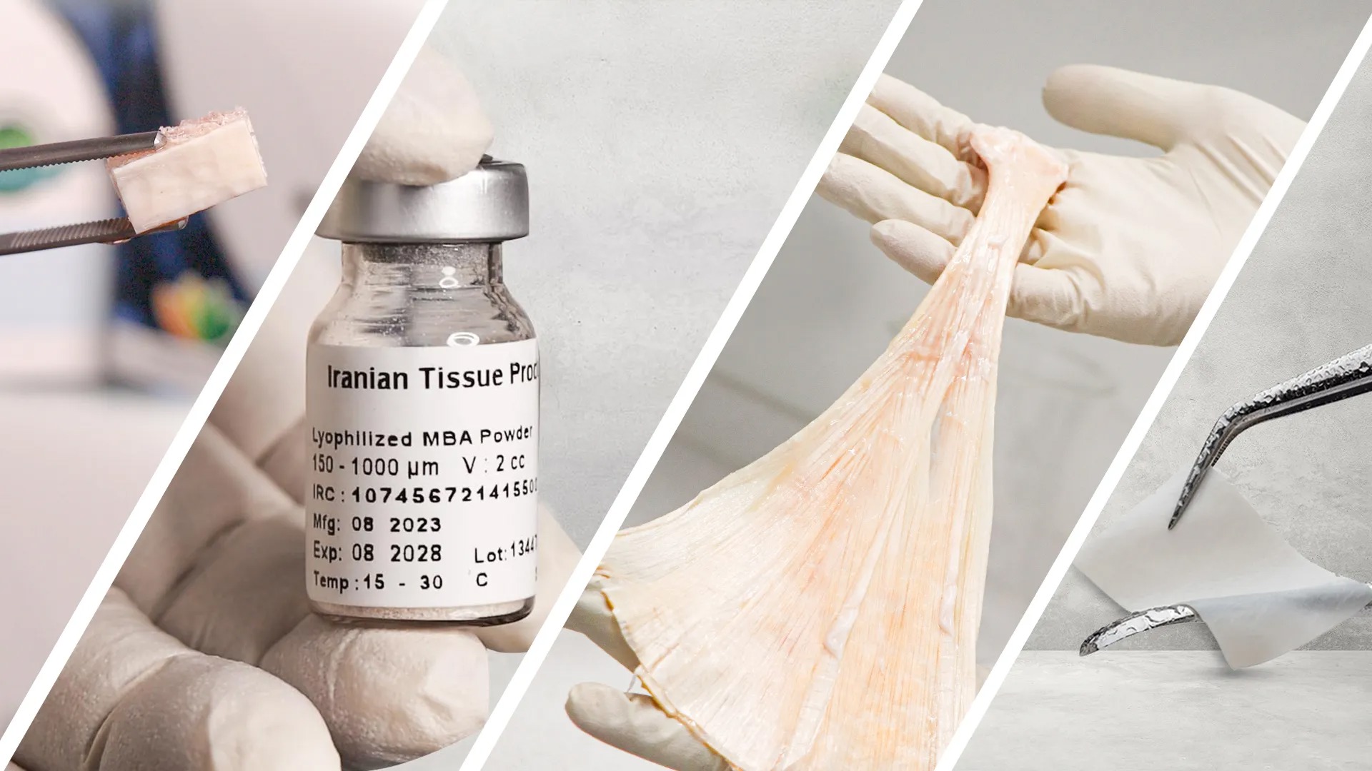 محصولاتی که با علم فناوری آلوگرافت ساخته می‌شوند