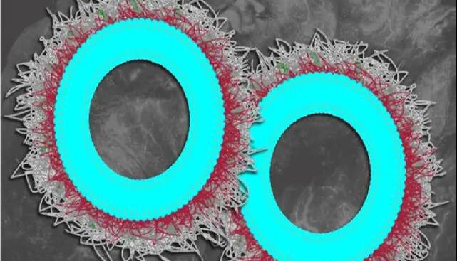 نسل تازه‌ای از نانوذرات هوشمند برای نابودی پروتئین‌های مرگ‌آور