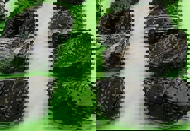 توزیع‌کننده مواد مخدر با ۱۰ کیلو تریاک در کرمانشاه دستگیر شد