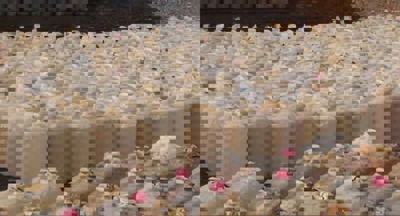 ۴۲۰۰ لیتر گازوئیل قاچاق در مرز خسروی کشف شد