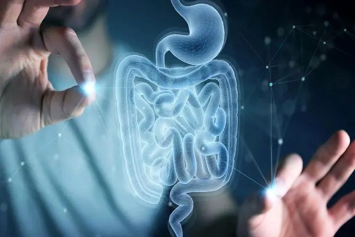 ترمیم خودکار روده با یک اسید آمینه طبیعی