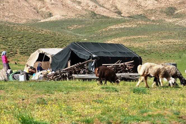 استقرار ۲۵۰۰ خانوار عشایر کوچ‌رو در ییلاقات کرمانشاه